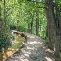 Hinterbrühl_Pöllau_Oststeiermark
