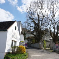 Villa Lorenz Altenberg