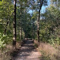 ..auf stillem Waldweg zum Eingang und retour zur Busstation. Schee woas!