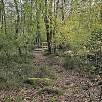 im-hochmoor-bragphenn-ormont-touristik-gmbh-gerolsteiner-land-leonie-post