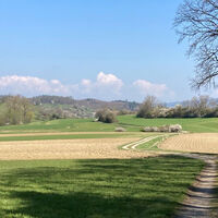 Herrliche Naturwege