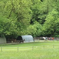 3.3 km Ponyhof