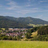 Elzach