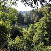Spaziergang "Wildgehege" in Zell im Wiesental