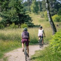 Gravelbiken am Schlangenberg
