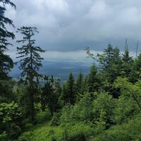 Blick in den Rupertiwinkel im Abstieg