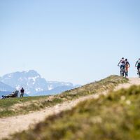 Die Julischen Alpen immer im Blick