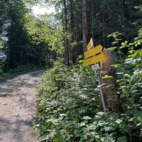 Hier dem Wegweiser 'Dobratsch über Almweg' folgen
