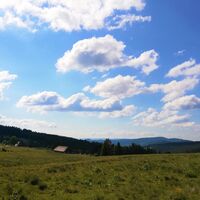 Almweide bei der Stiftshütte