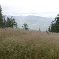 Wanderweg/-steig