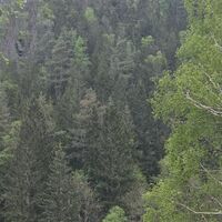 Felsenhäuschen Lauscha