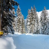 im schnee auf die packeralpe_img_25667535