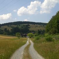 Blick Richtung Hofwildensee