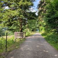 Zwischen Wald und Wiesen geht es nach Bad Herrenalb