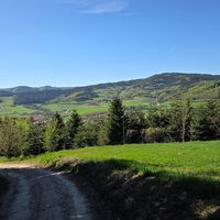 Abstieg vom Kleinen Jauerling