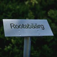 Vals Alter Zerfreilaweg; Foto: Lukas Schweizer