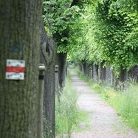 Allee im Ehrenhain