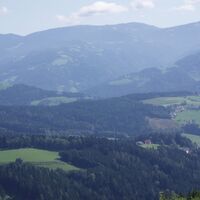 Forst- Blick zur Packalpe
