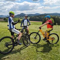 MTB-Strecke_Bad_Zell_(c)_Franz_Kern_(16)