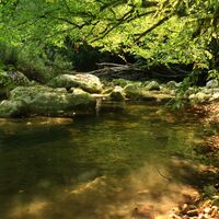 Gorges de Thurignin