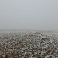 am Wander-und Pilgerweg Richtung 7110