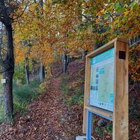 Informationstafeln Durchquerung des Vogesenmassivs - Wangenbourg - Engenthal