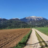 Feldweg