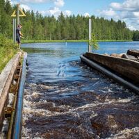Lylykosken veneränni