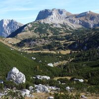unterhalb dem Brandstein auf der Brandwiese