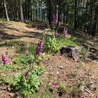 Impressionen an der Klinkhardtshöhe