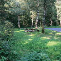 Stellerskuppenweg 10