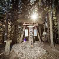 baumhoroskopweg - familienwanderung_img_58021506