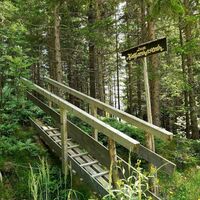 Am Katharinastein-Weg, Joglland-Waldheimat in der Oststeiermark