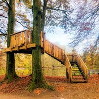 Beobachtungsplattform im herbstlichen Erlebnispfad Holter Wald in Schloß Holte-Stukenbrock