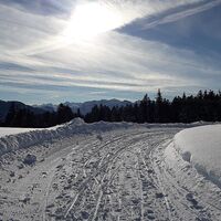 Super präparierte Rodelbahn am Brüggelekopf, Alberschwende