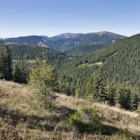Immer wieder wandern wir über freie Almflächen