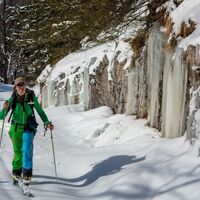 Schönheiten entlang des Forstweges
