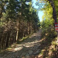 Bergauf am 7 Bacherlweg, Apfelland in der Oststeiermark