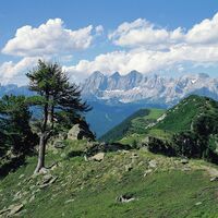 Blick vorbei am Schneider zum Dachsteinmassiv