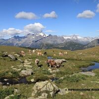 Alpe Campagneda