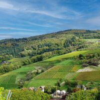 Aussicht Sasbachwalden