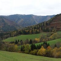 nahe Golfplatz Abstieg vom Hasberg