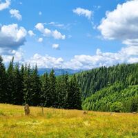 Aussicht von der Töllamoaralm
