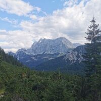 Abstieg hinab zur Vereiner-Alm