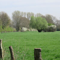 Momm-Niederung Voerde