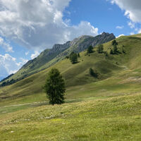 Alpe Lusia - Laghi di Lusia - Cima Bocche - ©Archivio S.i.f. Impianti Funiviari Lusia S.p.a.
