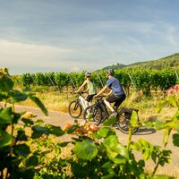 Radweg Deutsche Weinstraße bei Neustadt