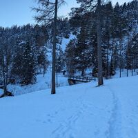 Vigo - Pontac ©Archivio APT Val di Fassa