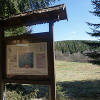 Infotafel Naturraum
