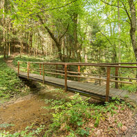 Schönauklamm-Brücke, Naturpark Pöllauer Tal in der Oststeiermark